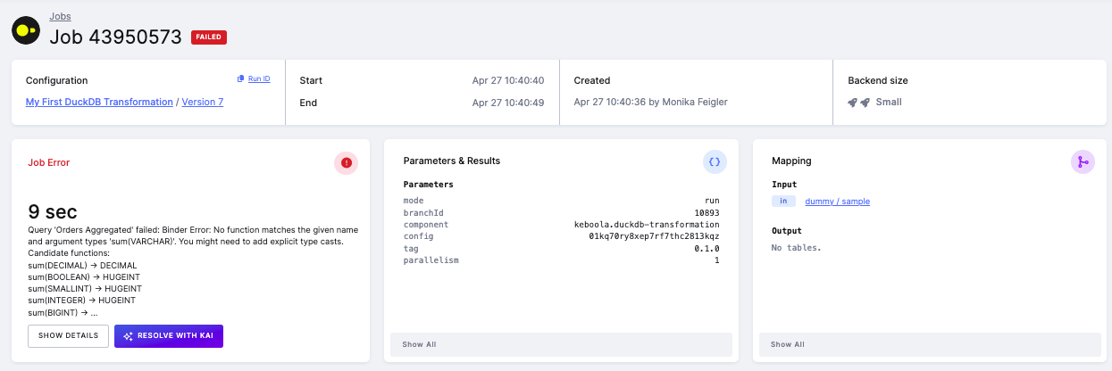 Screenshot - Job Error Without Type Inference